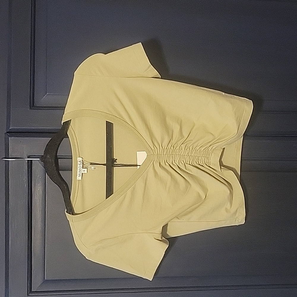 Light sage green crop top